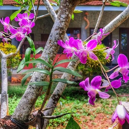 Vedic Heritage Boutique Hotel Kovalam Dış mekan fotoğraf