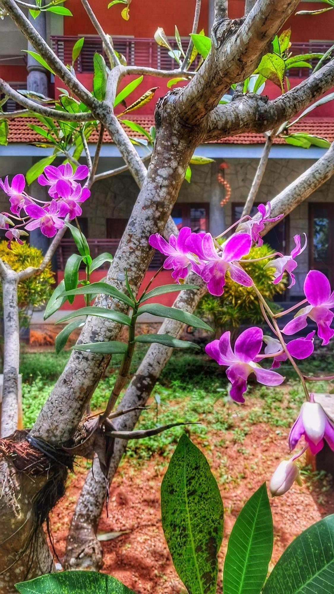 Vedic Heritage Boutique Hotel Kovalam Dış mekan fotoğraf