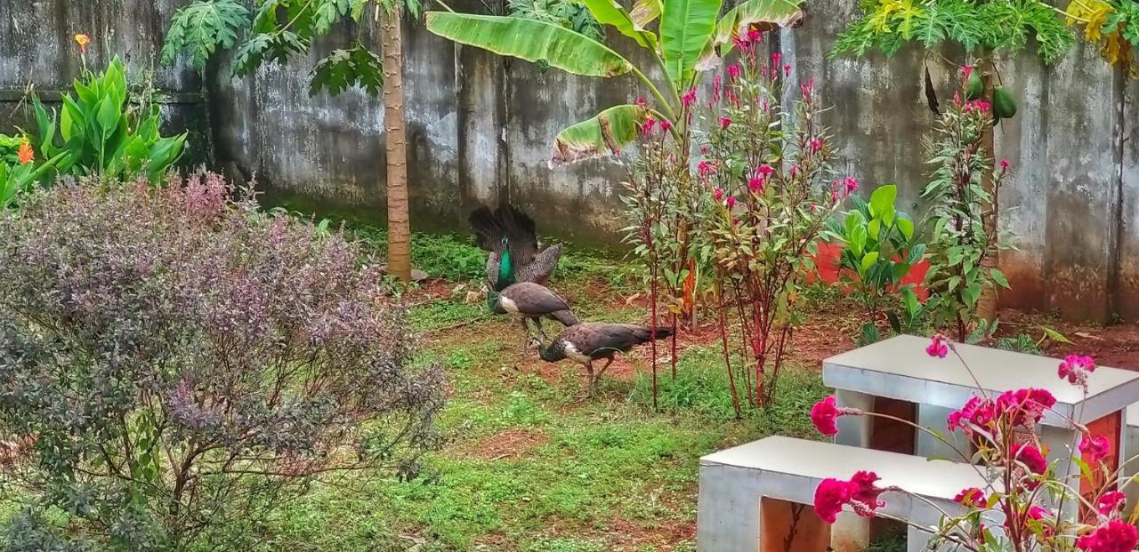 Vedic Heritage Boutique Hotel Kovalam Dış mekan fotoğraf